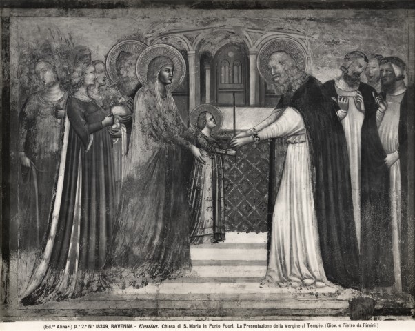 Alinari, Fratelli — Maestro di Santa Maria in Porto Fuori - sec. XIV - Presentazione di Maria Vergine al Tempio — insieme